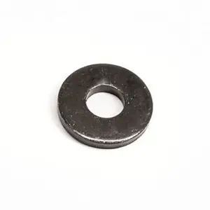Special Offer Earthquake - 1676435 - 0.500 Washer
