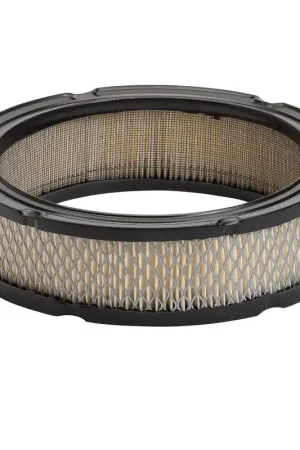 Bargain Oregon 30-430 Air Filter for Onan 140-1228 140-2522 140-2628