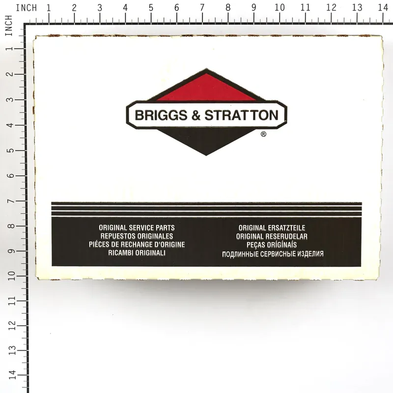 Briggs & Stratton - 4234 - 4 of 820263 Air Filters Time-Limited