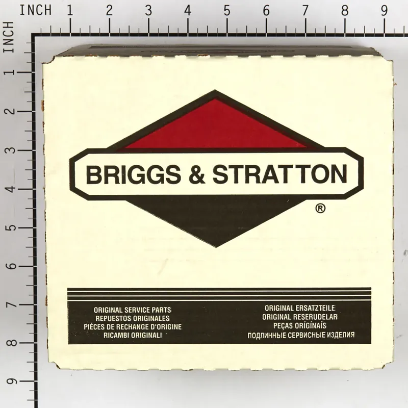 Last Chance Briggs & Stratton - 4195 - 5 of 691643 Air Filters
