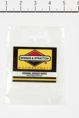 Mega Sale Briggs & Stratton - 555594 - JET-PILOT