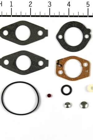 Bargain Briggs & Stratton - 695157 - Carburetor Overhaul and Repair Kit