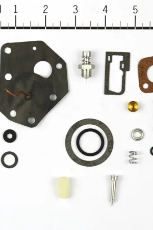 Express Delivery Briggs & Stratton - 494622 - KIT-CARB OVERHAUL