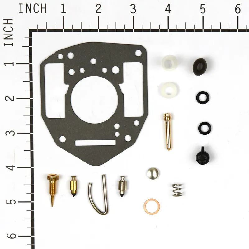 Briggs & Stratton - 809021 - KIT-CARB OVERHAUL Affordable