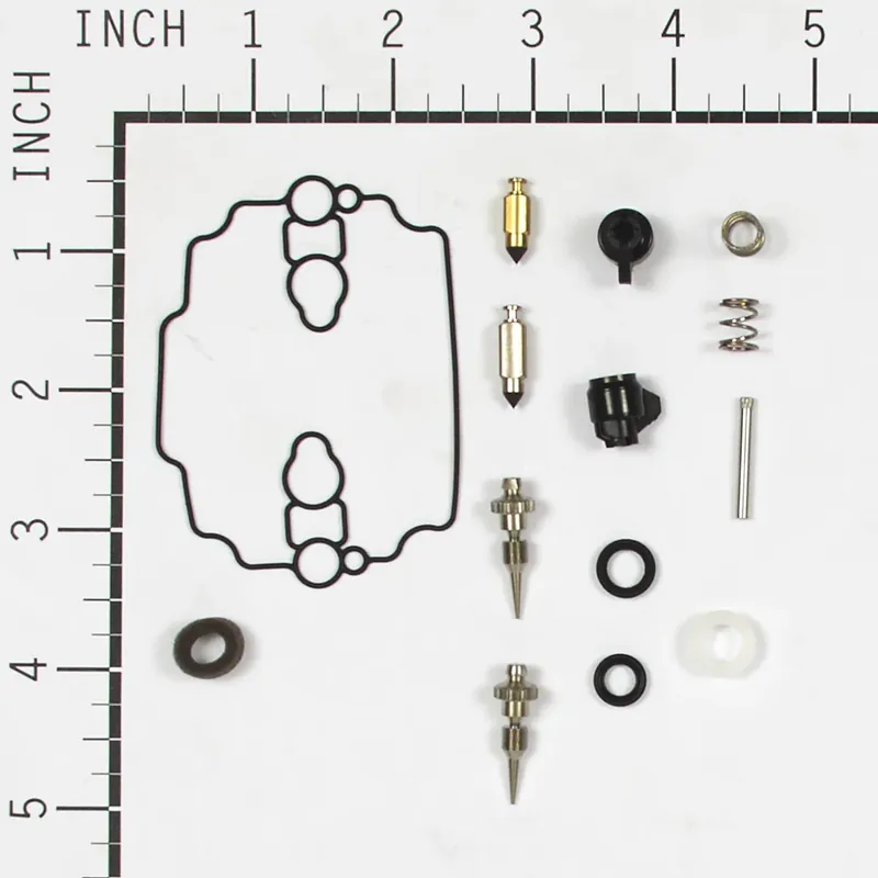 Briggs & Stratton - 842873 - KIT-CARB OVERHAUL Certified