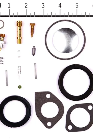 Don't Miss Out Briggs & Stratton - 394698 - Rebuild Kit for Briggs & Stratton 491590 Carburetors