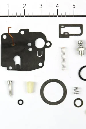 Briggs & Stratton - 494623 - KIT-CARB OVERHAUL Popular