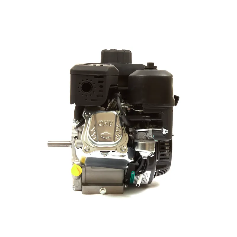 Express Delivery Briggs & Stratton - 83132-1040-F1 - 550 Series, Single Cylinder, Air Cooled, 4-Cycle Gas Engine, 5/8" x 2-27/64" Crankshaft