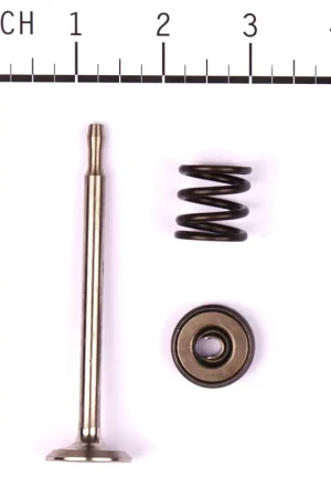 Briggs & Stratton - 494191 - VALVE-EXHAUST In Demand