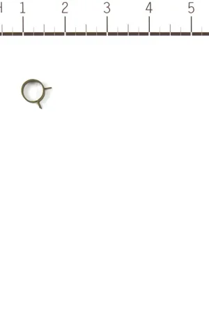 Briggs & Stratton - 595824 - FUEL FILTER & HOSE KIT Professional Grade