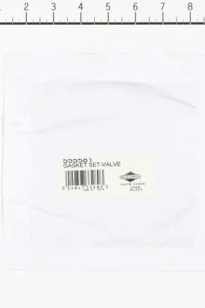 Reduced Price Briggs & Stratton - 555581 - GASKET SET-VALVE