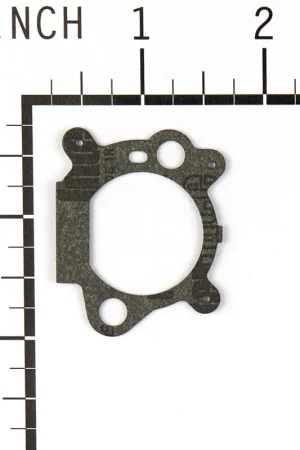 Luxury Briggs & Stratton - 795629 - Intake Gasket for Quantum Engines (PULSA-JET)