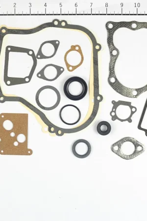 New Release Briggs & Stratton - 496659 - GASKET SET-ENGINE