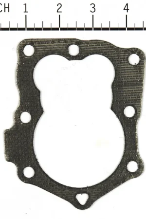 Today Only Briggs & Stratton - 799875 - Cylinder Head Gasket
