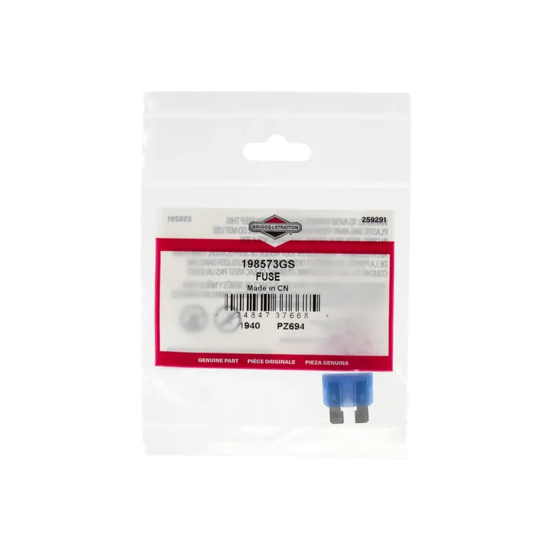 Briggs & Stratton - 198573GS - FUSE Bargain