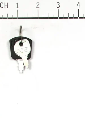 Briggs & Stratton - 1717163SM - Ignition Key Popular