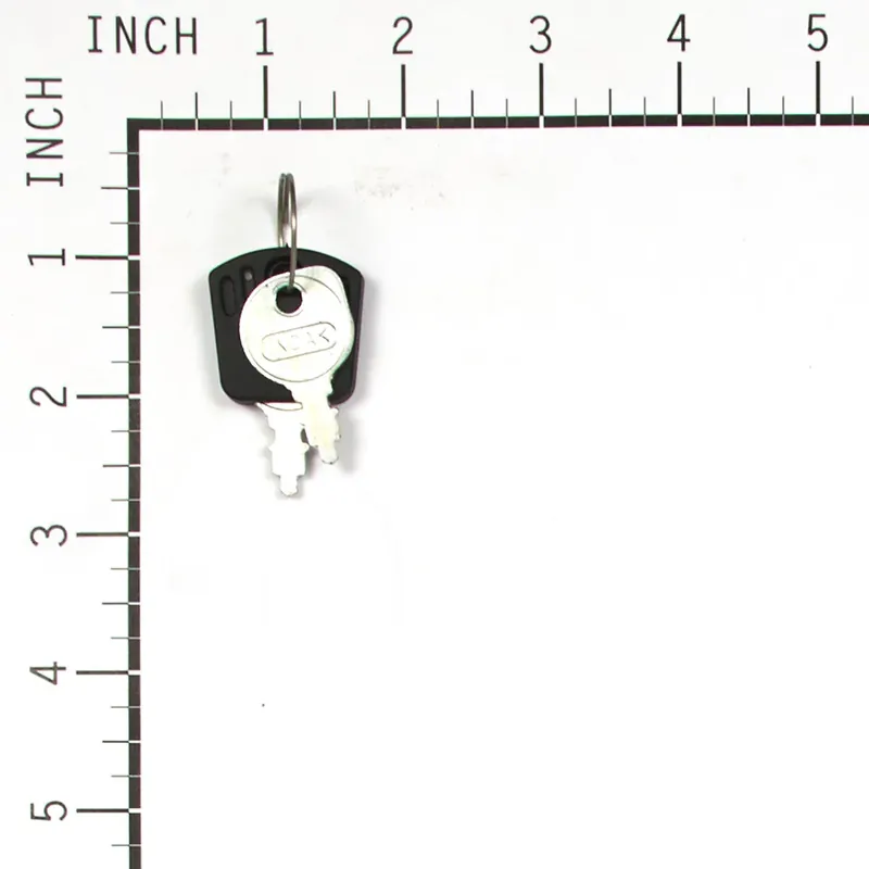 Briggs & Stratton - 1717163SM - Ignition Key Popular