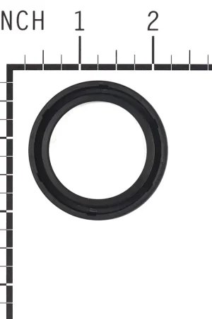 Briggs & Stratton - 291675S - Oil Seal Last Chance