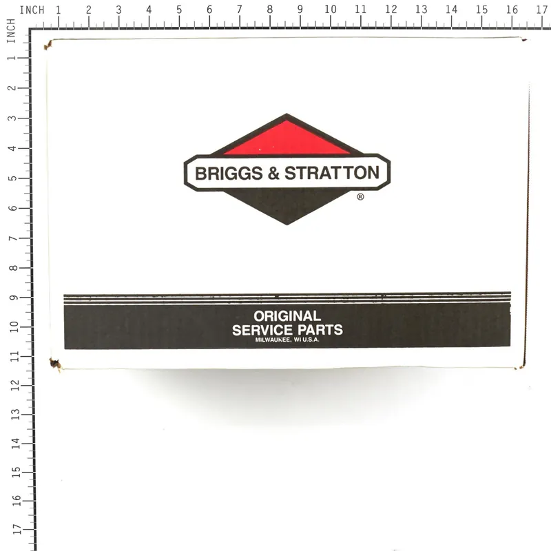 Top Pick Briggs & Stratton - 311553GS - PUMP