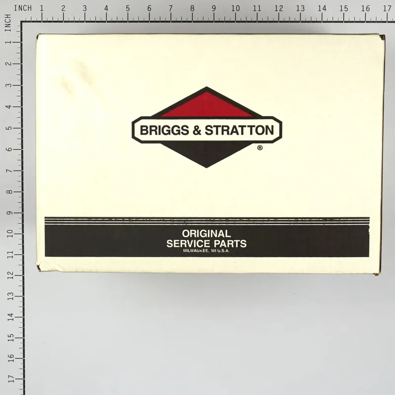 Briggs & Stratton - 317991GS - PUMP Price Cut