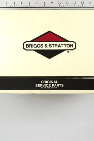 Secure Checkout Briggs & Stratton - 311554GS - PUMP