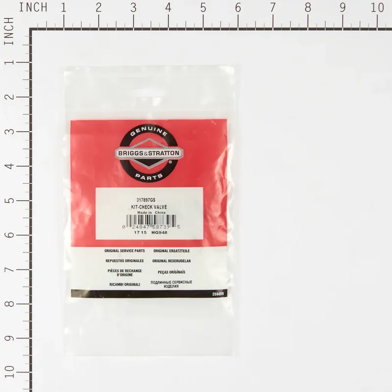 Factory Price Briggs & Stratton - 317897GS - KIT-CHECK VALVE