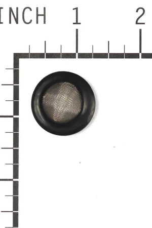 Place Order Briggs & Stratton - B2384GS - Garden Hose Filter