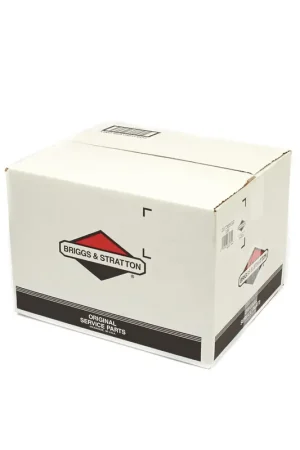 Briggs & Stratton - 207365GS - Pressure Washer Pump Reduced Price