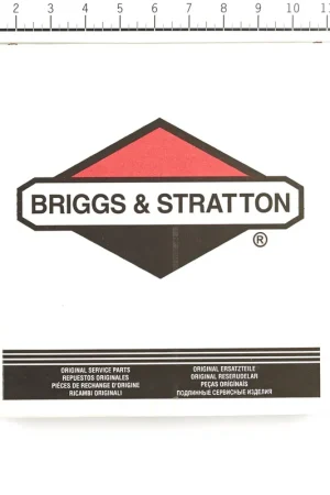 Authentic Briggs & Stratton - 705998 - WHEEL ASSY 10X2
