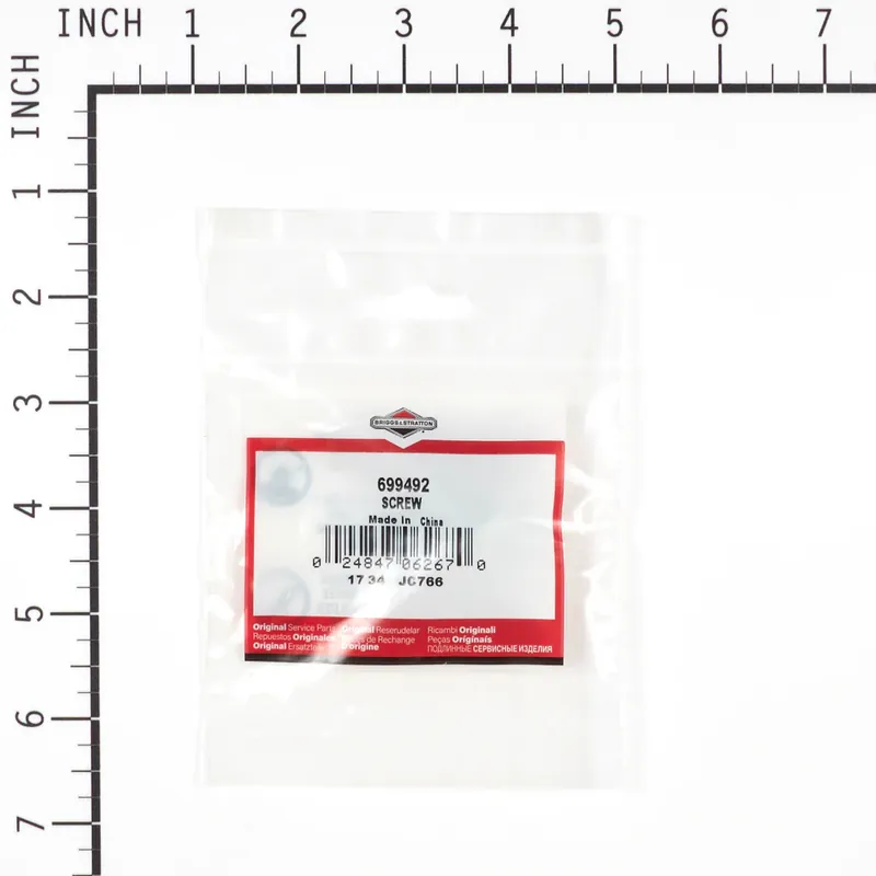 Last Chance Briggs & Stratton - 699492 - SCREW