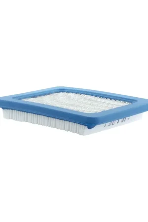 Briggs & Stratton 491588B Filter, A/C Cartridge Luxury