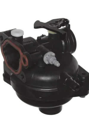 Affordable Briggs & Stratton 595656 Carburetor
