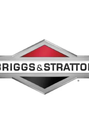 Super Sale Briggs & Stratton 19N137-0077-F1 Horizontal XR1450 Professional Engine