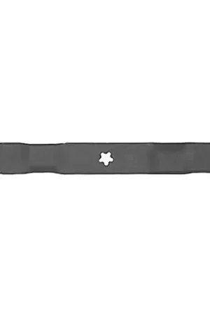 Buy Direct Oregon 95-019 Blade, AYP 21"