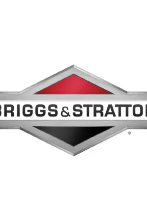 Bargain Briggs & Stratton 492282 Carburetor Overhaul Kit