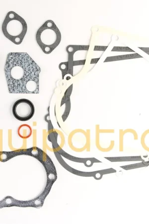 Trusted Brand Briggs & Stratton 555210 Engine Gasket Set