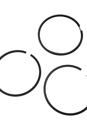 Bargain Tecumseh 40013 Standard Ring Set