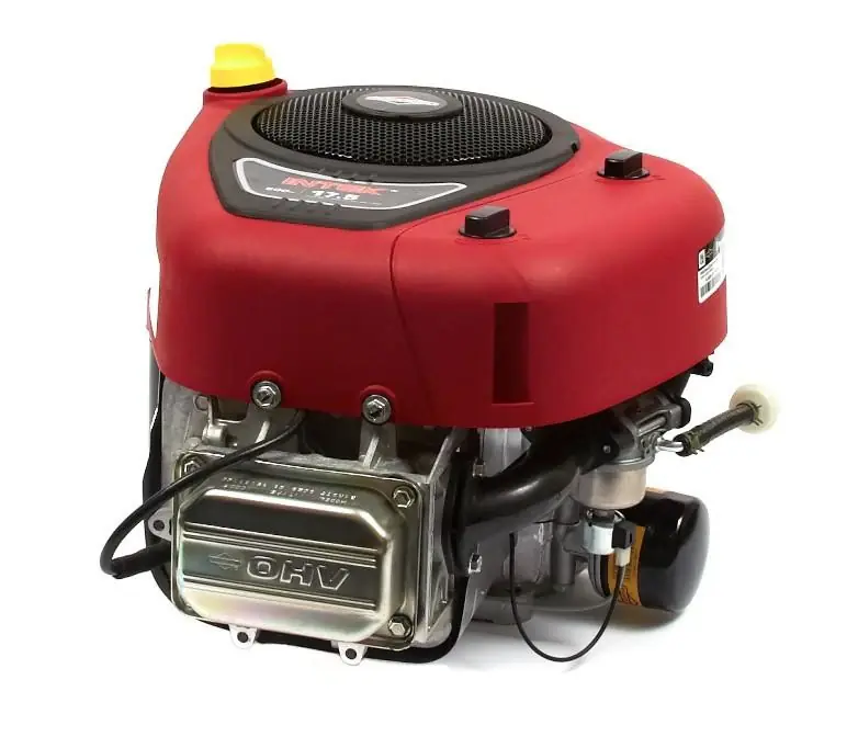 Briggs & Stratton 31R977-0029-G1 Vertical Engine Must Have