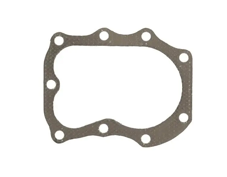 Luxury Briggs & Stratton 272163S Cylinder Head Gasket, Replaces 272163