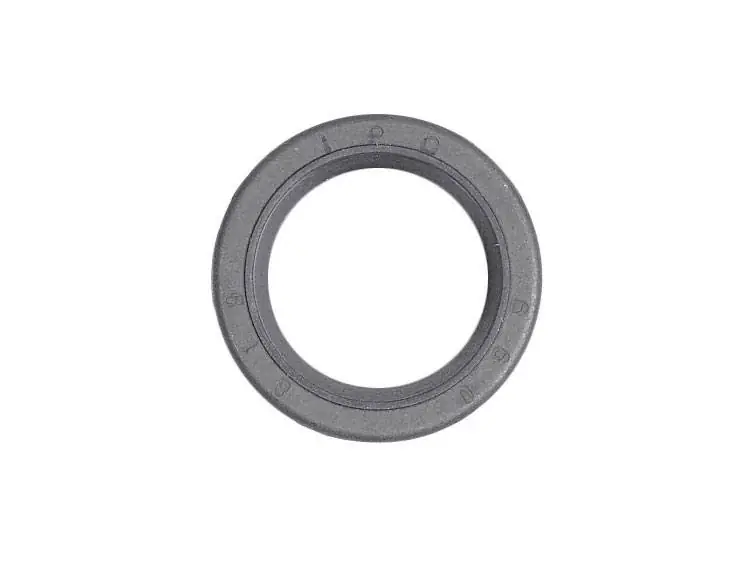Briggs & Stratton 299819S Oil Seal Low Price
