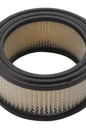 Bargain Briggs & Stratton 392286 Round Air Filter Cartridge