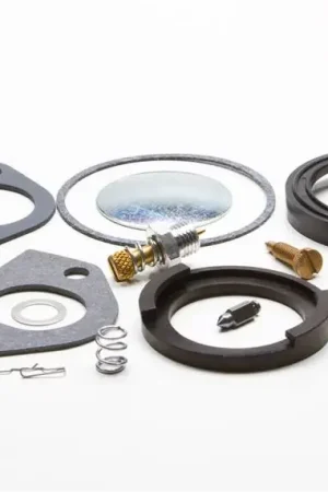 Trending Briggs & Stratton 394698 Carburetor Overhaul Kit