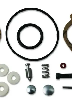 While Supplies Last Briggs & Stratton 498260 Carburetor Overhaul Kit