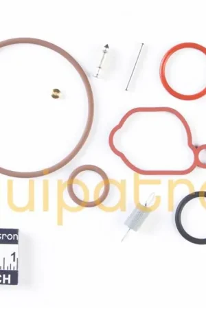 Best Choice Briggs & Stratton 590589 Carburetor Overhaul Kit