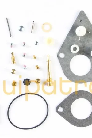Today Only Briggs & Stratton 690191 Carb Overhaul Kit