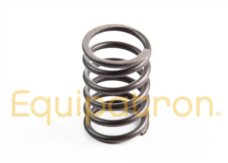 Briggs & Stratton 691279 Valve Spring, Replaces 262811, 691279 Budget