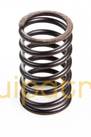 Authentic Briggs & Stratton 692180 Valve Spring, Replaces 26478, 555076, 692180