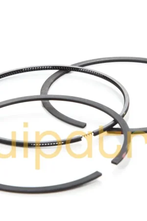 Trending Briggs & Stratton 696403 Standard Ring Set