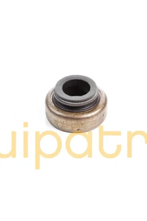 Today Only Briggs & Stratton 697338 Valve Seal