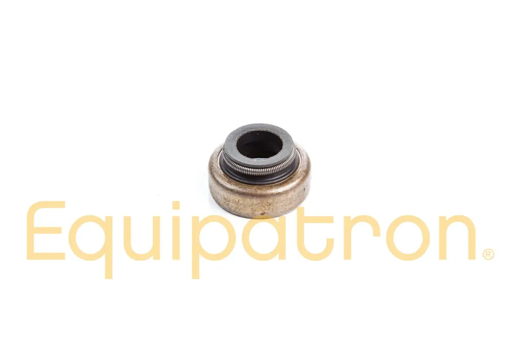 Today Only Briggs & Stratton 697338 Valve Seal